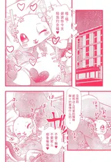 第 4 頁