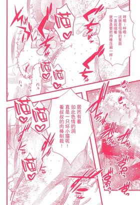 第 8 頁