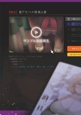 第 3 頁