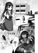第 7 頁