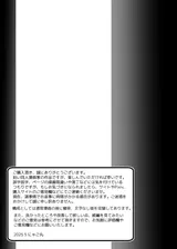 第 2 頁