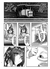 第 8 頁