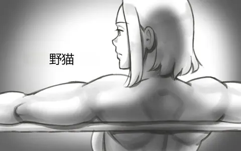 WILDCATS ~ Futanari Chika Battle