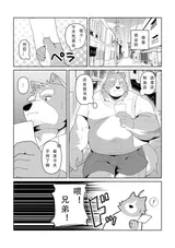 第 3 頁