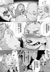 第 8 頁