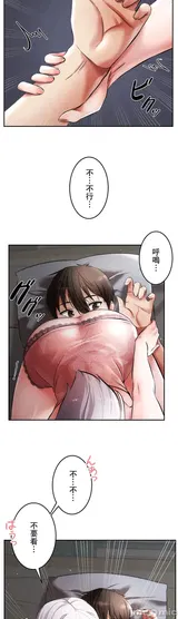 第 6 頁