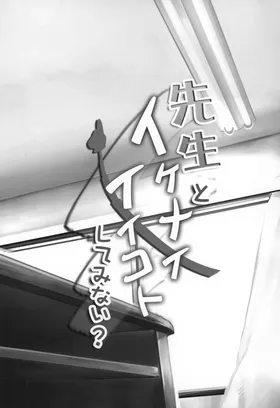 第 2 頁