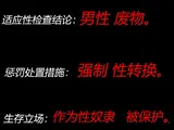 第 2 頁