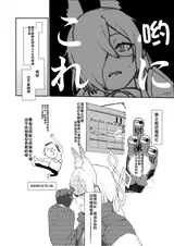 第 3 頁