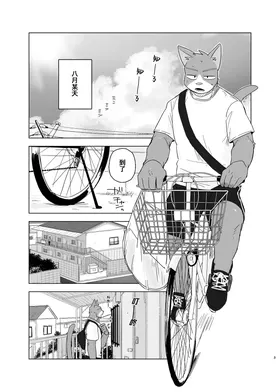 第 3 頁