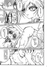 第 7 頁