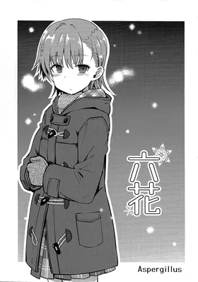 第 2 頁