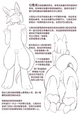 第 6 頁