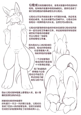 第 6 頁