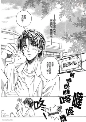 第 8 頁