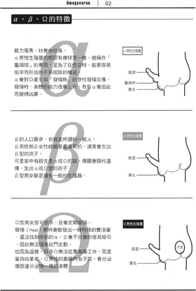第 7 頁