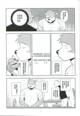 第 8 頁