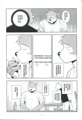 第 8 頁
