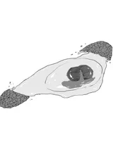 第 4 頁