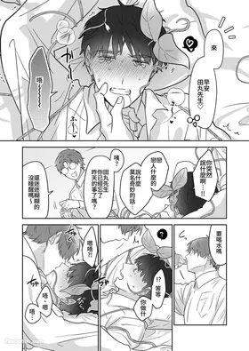 第 8 頁