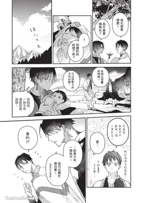 第 8 頁