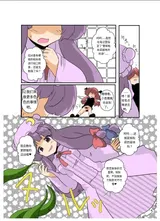 第 8 頁