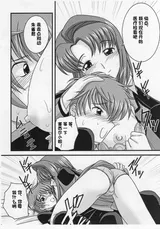 第 3 頁