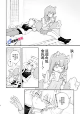 第 5 頁