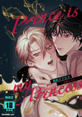 Prince Is My Princess︱我的王子公主