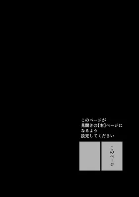 第 3 頁