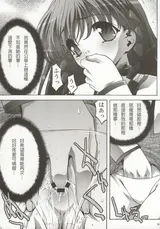 第 8 頁