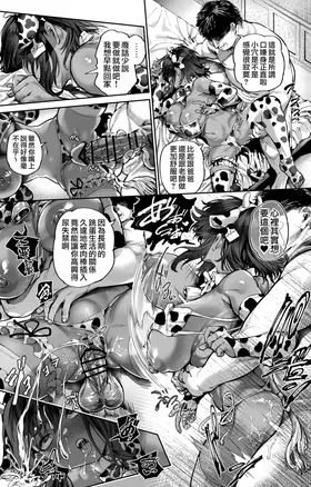 第 8 頁