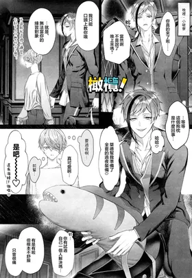 第 8 頁