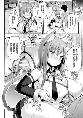 第 8 頁