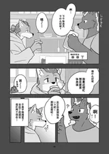 第 5 頁