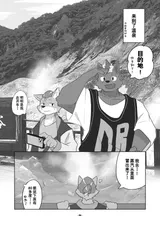 第 6 頁