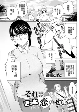 Sore wa Kitto Koi no Sei