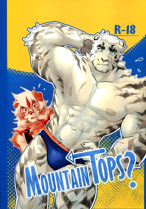 Mountain Top？