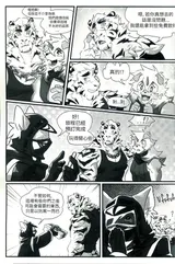 第 5 頁