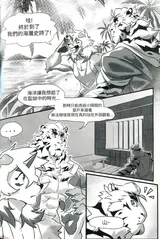 第 6 頁