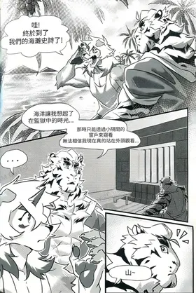 第 6 頁