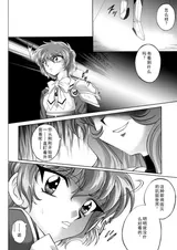 第 5 頁