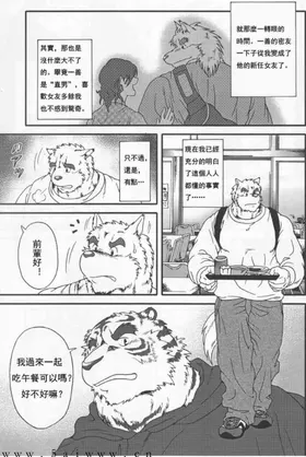 第 6 页