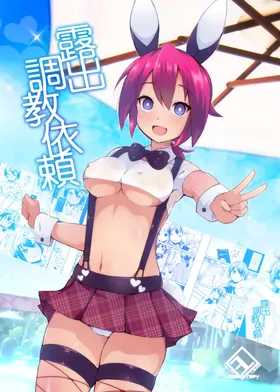 Roshutsu Choukyou Irai | 露出調教依頼