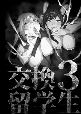 第 3 頁
