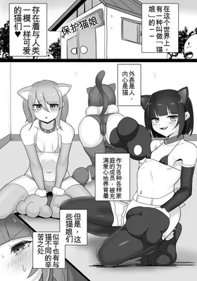 第 2 頁