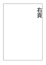 第 3 頁