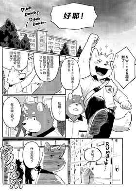 第 3 页