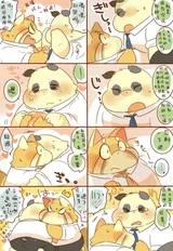 第 5 頁