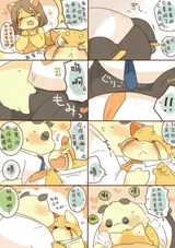 第 7 頁
